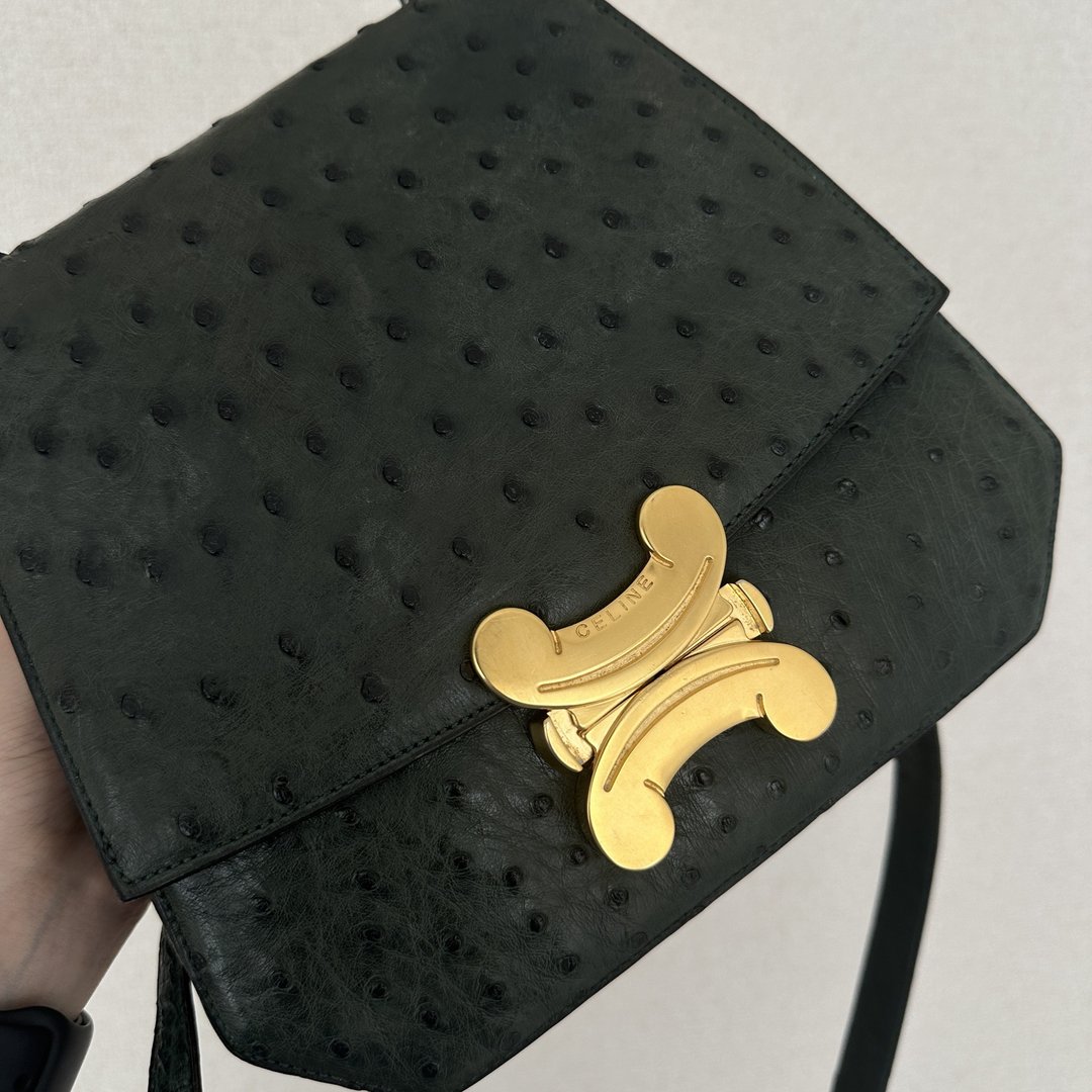 CELINE 塞琳 Triomphe 标志 2WAY 鸵鸟皮 绿色 手提包 单肩包 - 侧背包/斜挎包 - 真皮 绿色