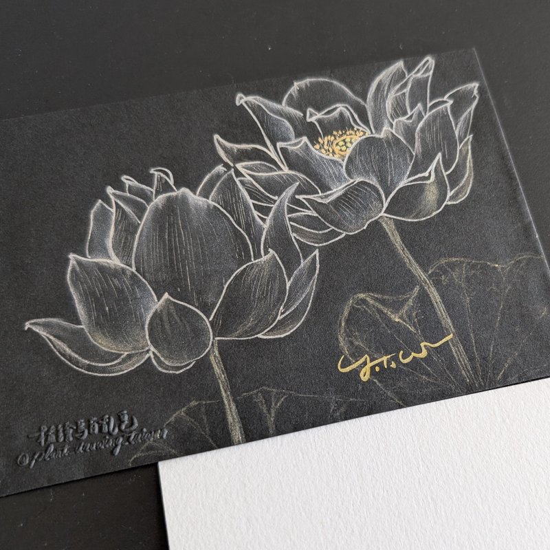 双荷花开 欧式信封 / 亲笔手绘 / 赠同花系万用卡一张 - 信封/信纸 - 纸 