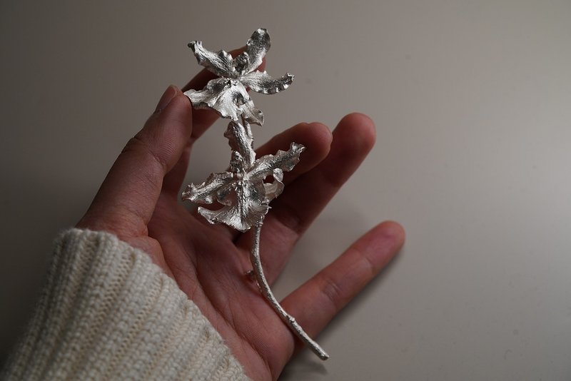 925银惠特尼胸针 (MW B1060) - 胸针 - 纯银 