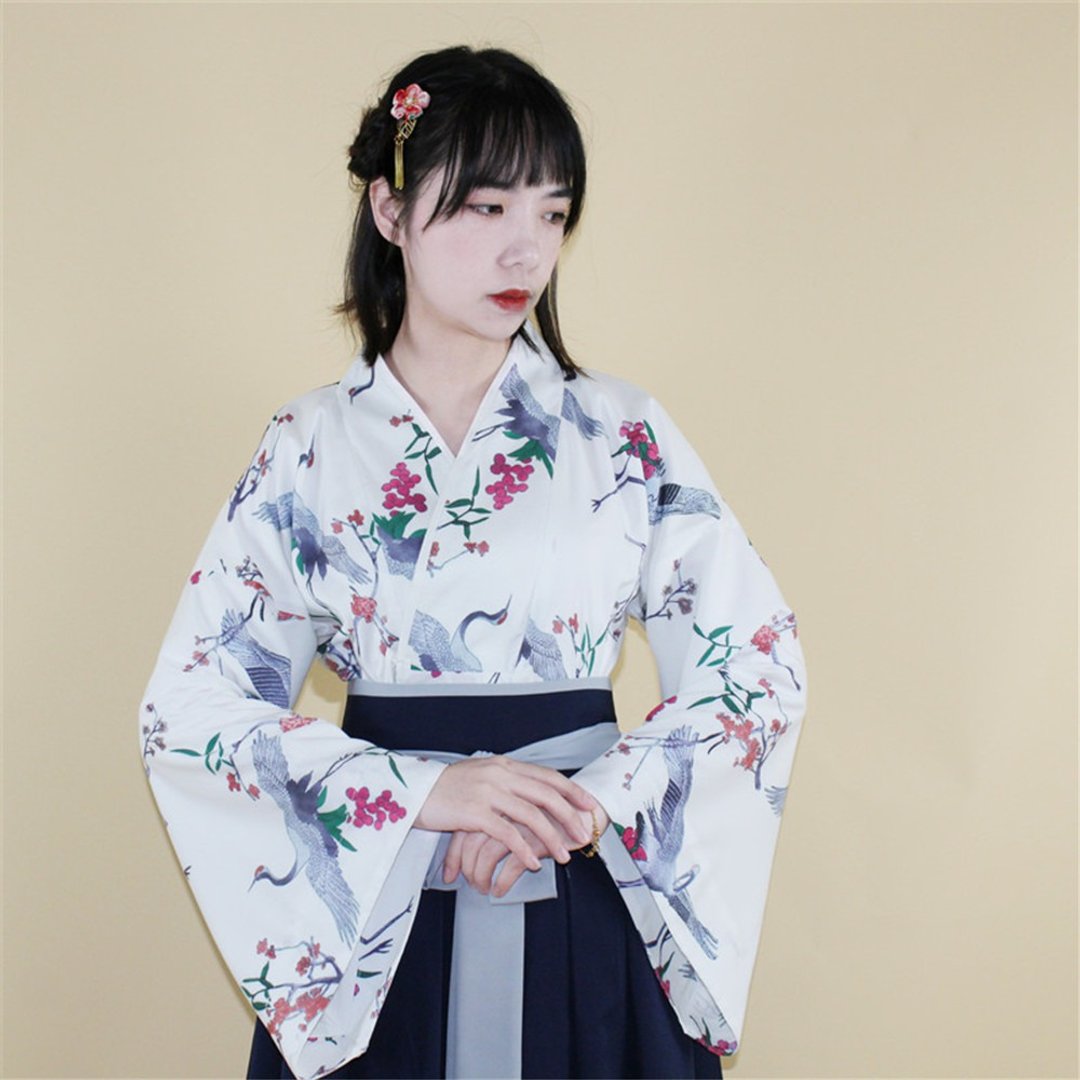 仙鶴印花古風茶服盤扣寬袖上衣 裙子套裝 新中式中秋春節改良旗袍 - 女装上衣 - 棉．麻 白色