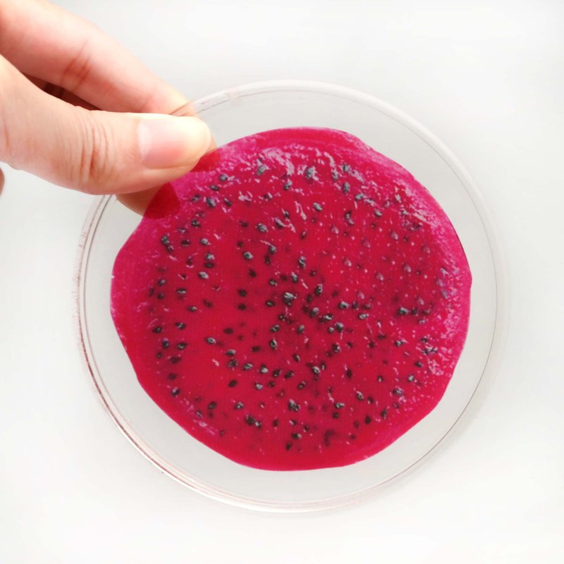 【圣诞节快速出货】【疗愈礼物】水果切片火龙果晶透压克力杯垫 - 摆饰 - 压克力 红色