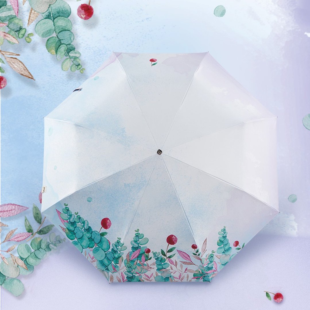 【新升级】Boy 轻版双面折叠雨伞 - BY3103 流连忘返 (礼盒版) - 雨伞/雨衣 - 其他材质 透明