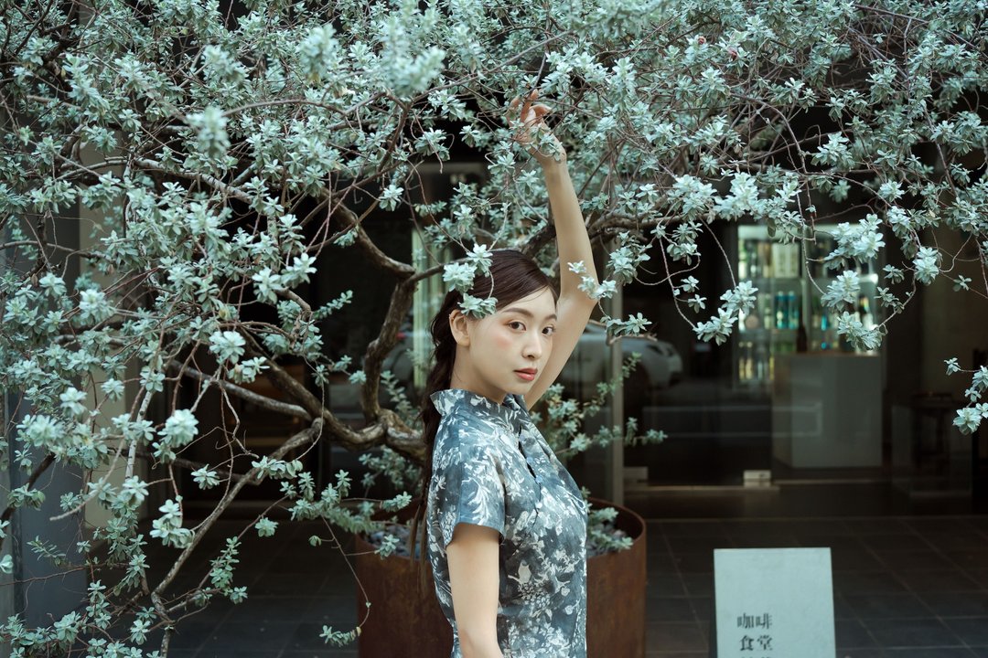 灰色手绘印花新中式旗袍小洋装 - 洋装/连衣裙 - 棉 灰色
