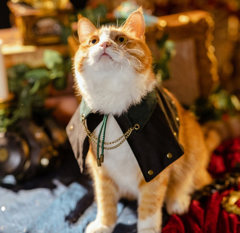 【猫狗法师服】蒸汽大陆复古 宠物造型披风 - 订制抱枕/饰品 - 其他材质 黑色