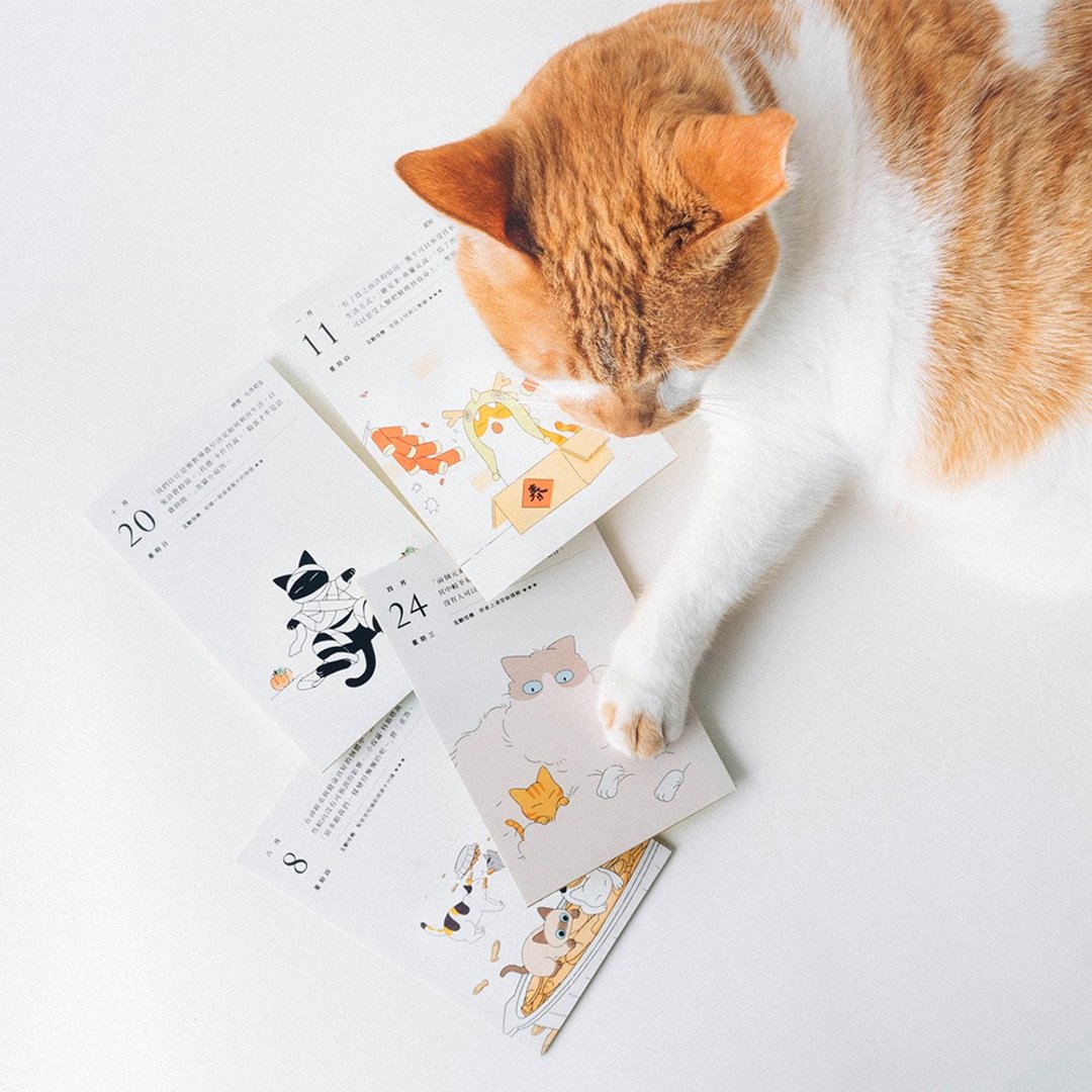 2024 猫日历 | 心心向猫 - 年历/台历 - 纸 橘色