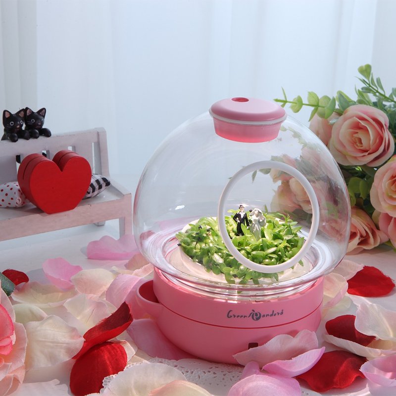 赠祝福小卡片 结婚喽 疗愈盆栽 结婚礼物 女友礼物 新人赠礼 - 植栽/盆栽 - 植物．花 粉红色