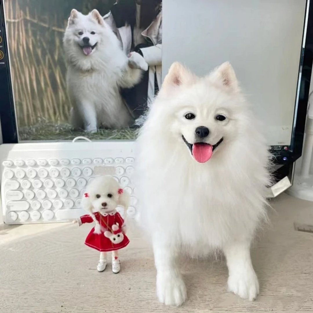 定制 逼真犬 毛孩 宠物 银狐 羊毛毡 娃娃 似颜绘 纪念 狗狗 t1 - 玩具 - 羊毛 多色