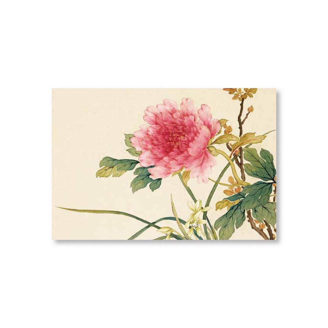 【明信片・Postcard】沈振麟・十二月花神 兰花牡丹 - 卡片/明信片 - 纸 卡其色