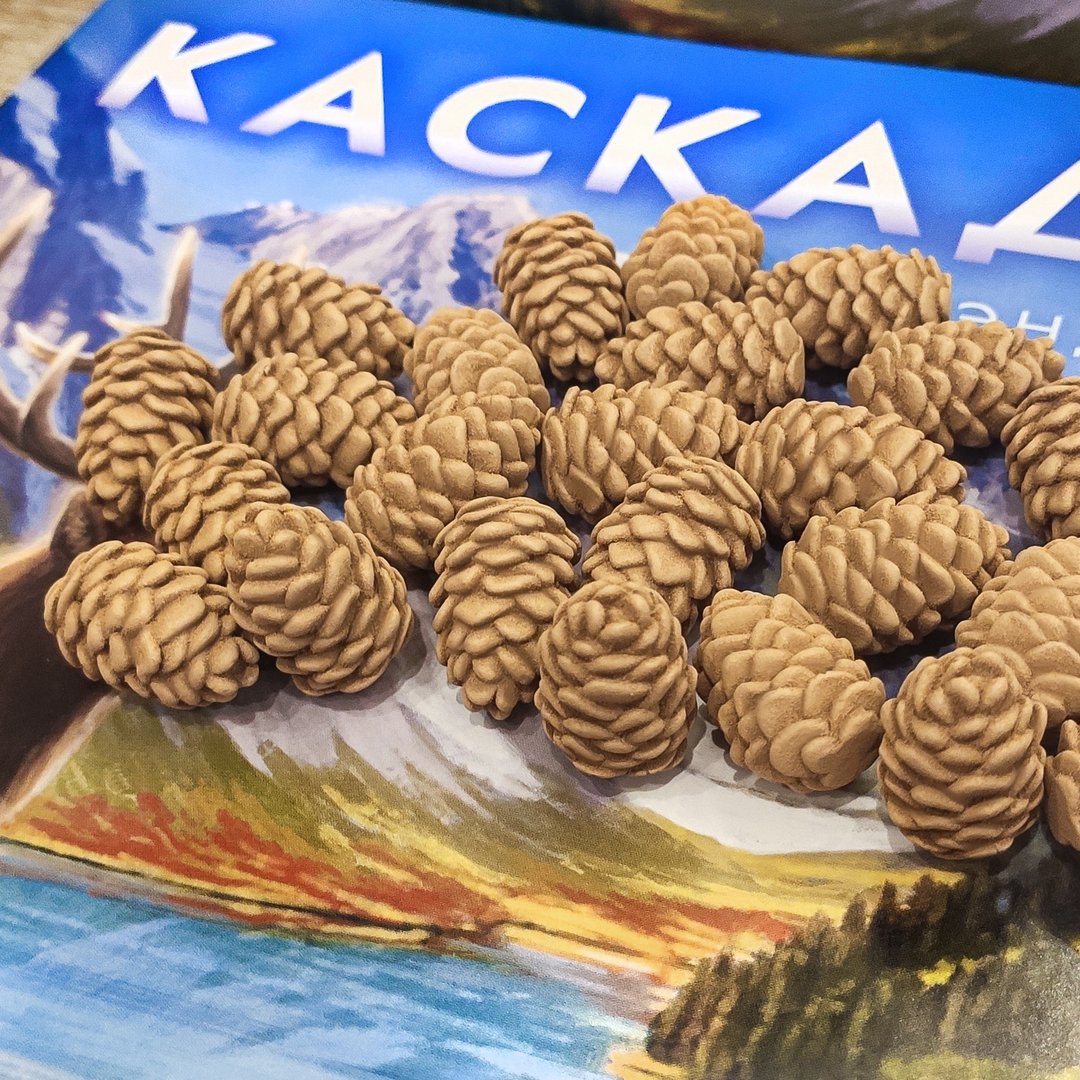 与 Cascadia 棋盘游戏兼容的豪华资源代币。 - 桌游/玩具 - 其他材质 