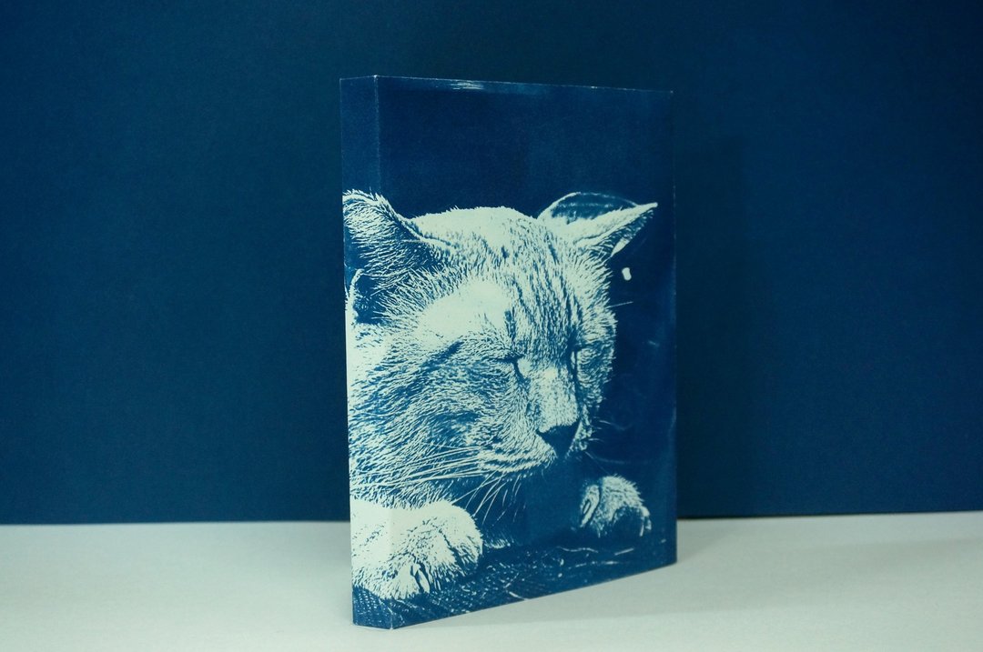 台湾  侯硐猫村 猴硐 被打扰休息的花猫  手帐 手工笔记本 - 笔记本/手帐 - 纸 
