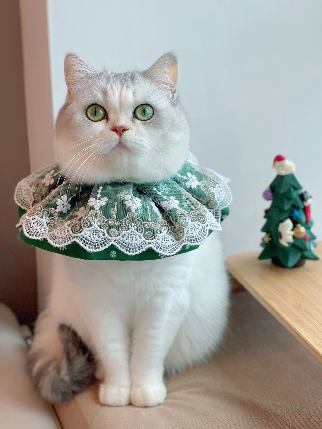圣诞蕾丝口水肩 猫狗项圈 派对项圈 - 衣/帽 - 棉 绿色
