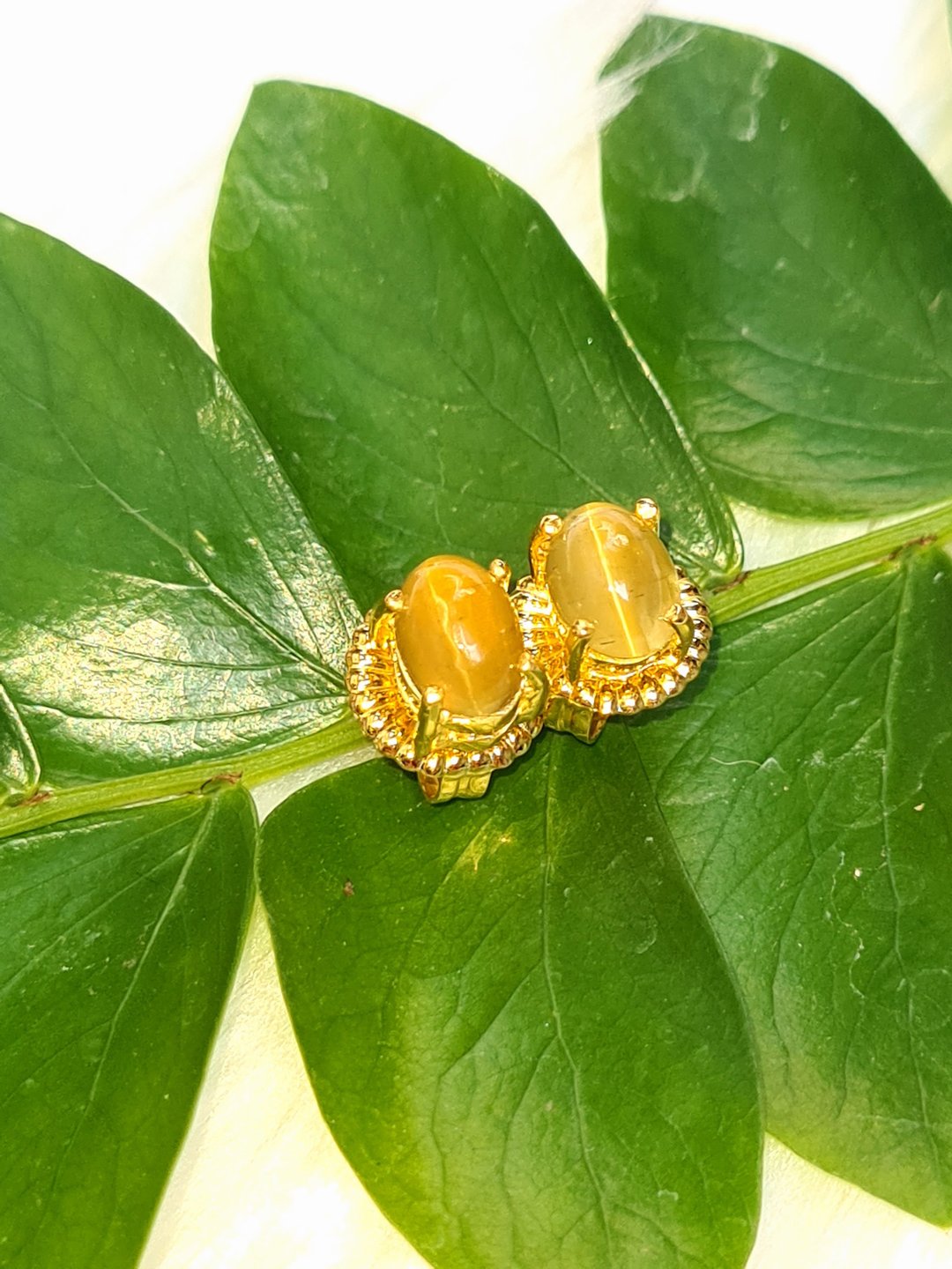 天然猫眼效应磷灰石尺寸 5×7 毫米。镀金银耳钉 - 耳环/耳夹 - 宝石 金色