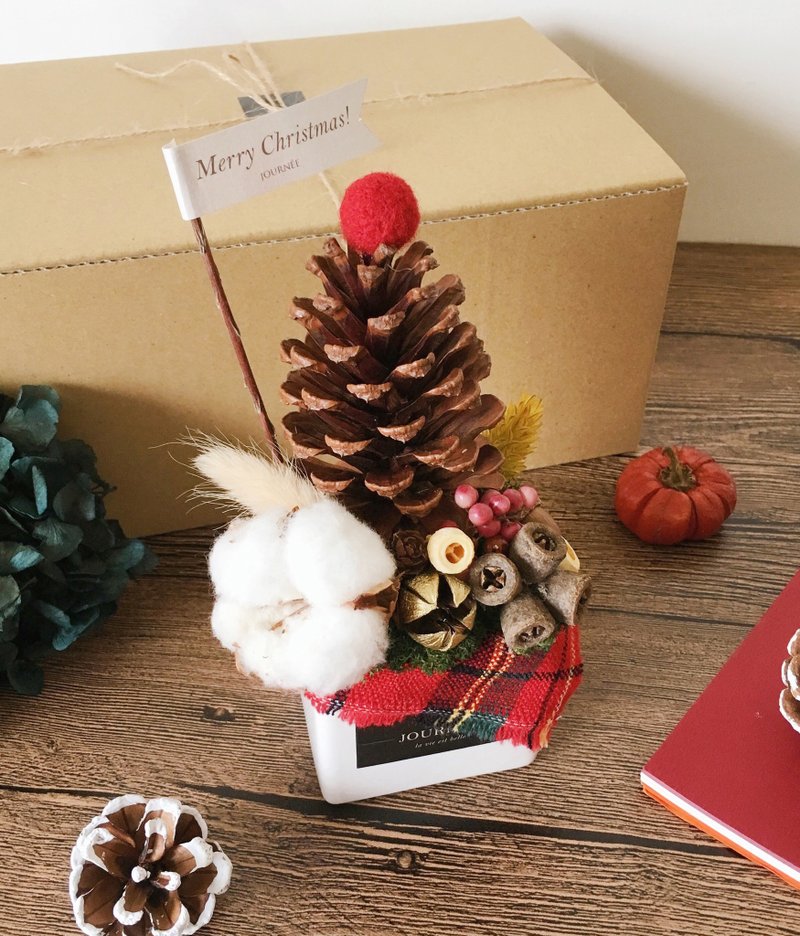 { journee } 最喜欢圣诞节-松果圣诞树盆栽礼盒 / 干燥花 小盆栽 交换礼物 圣诞礼物 花 耶诞 - 植栽/盆栽 - 植物．花 红色