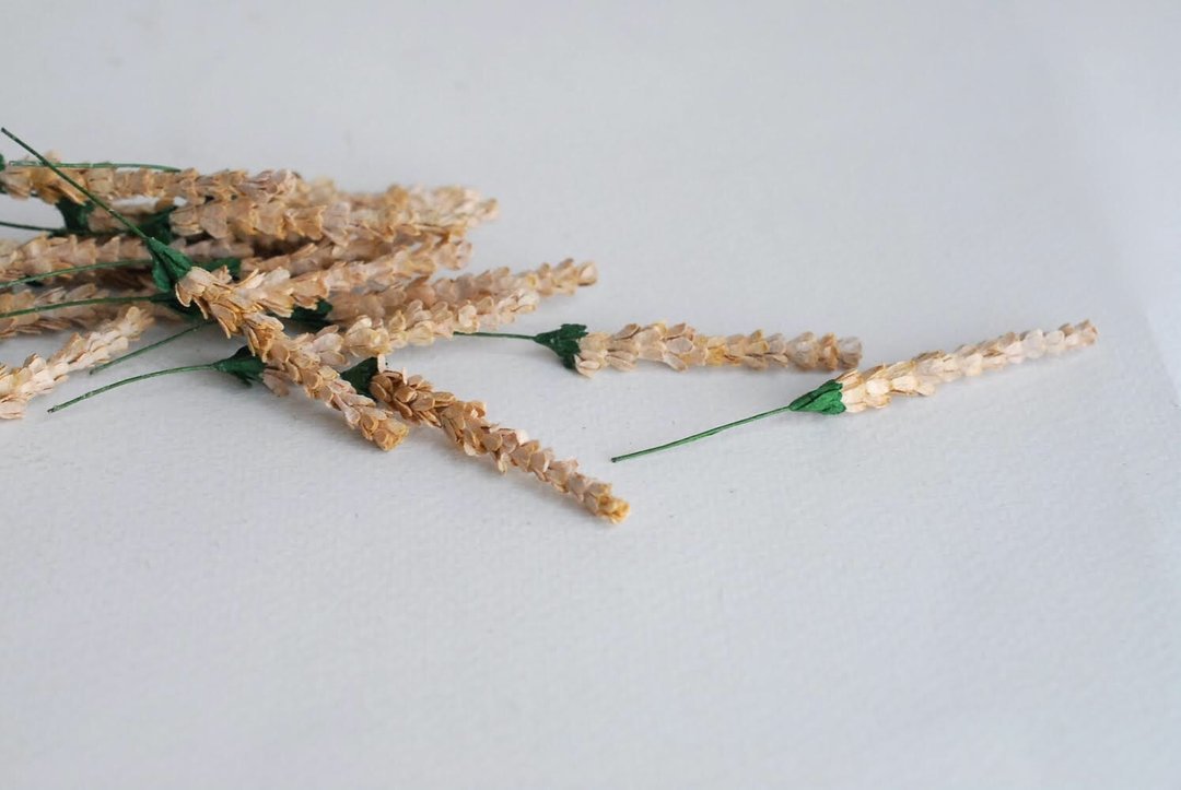 纸花，50 件，DIY 用品 0.5x5 厘米。薰衣草色，米棕 - 其他 - 纸 卡其色