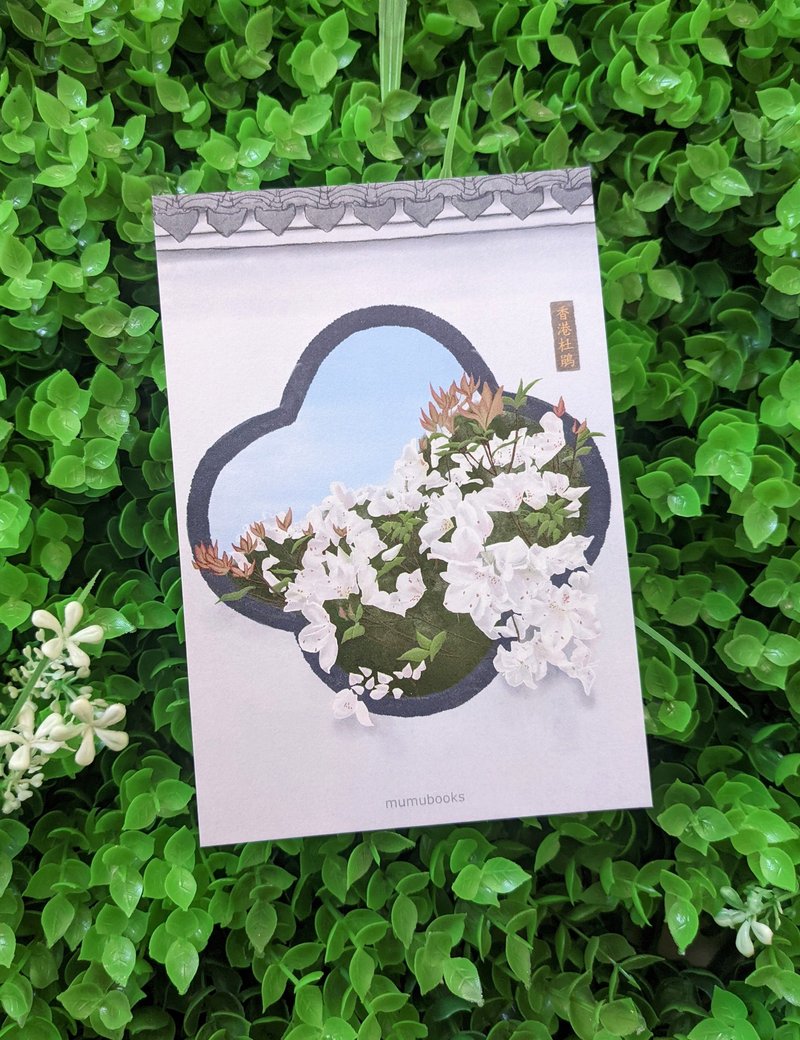 明信片 – 花卉系列 – 香港杜鹃 - 卡片/明信片 - 纸 多色