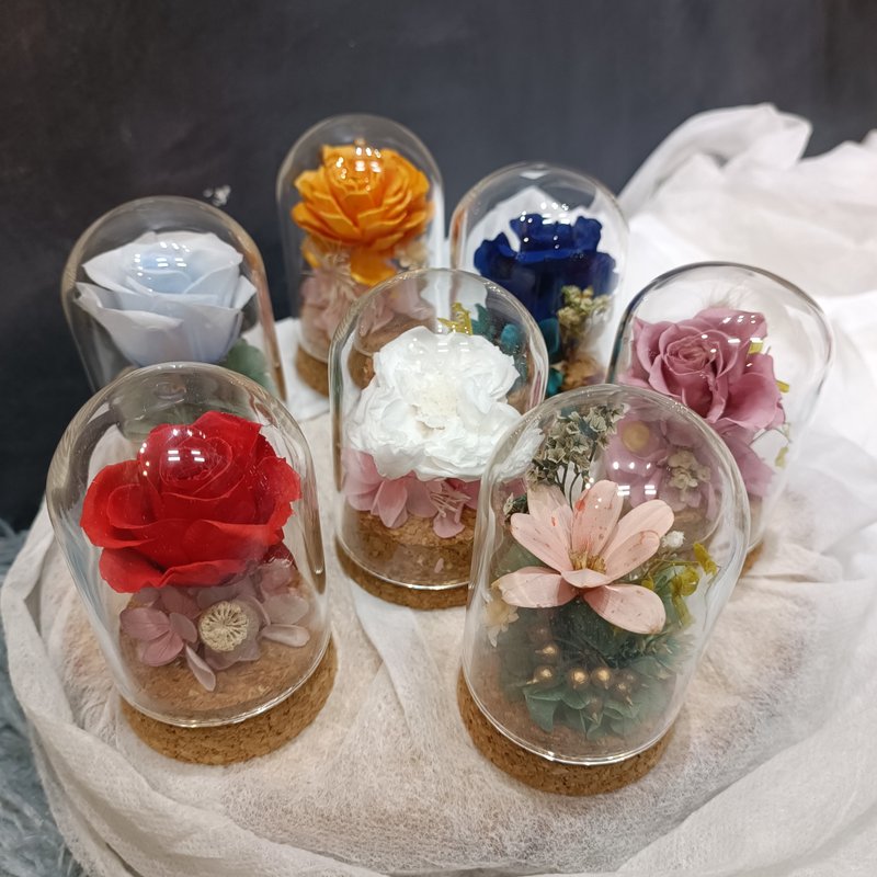 永生花玻璃罩  毕业小礼  礼物  生日 情人节 - 干燥花/捧花 - 植物．花 