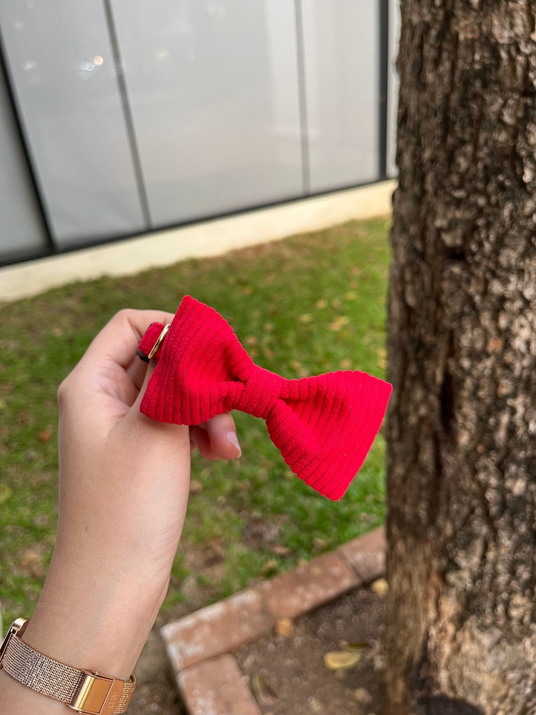 Merry X Mas 系列蝴蝶结 - 项圈/牵绳 - 棉 红色