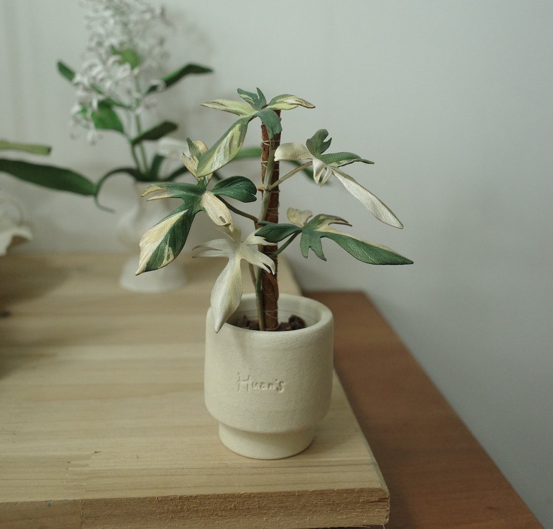班叶龙爪盆栽 绝版作品仅此一件 - 摆饰 - 真皮 