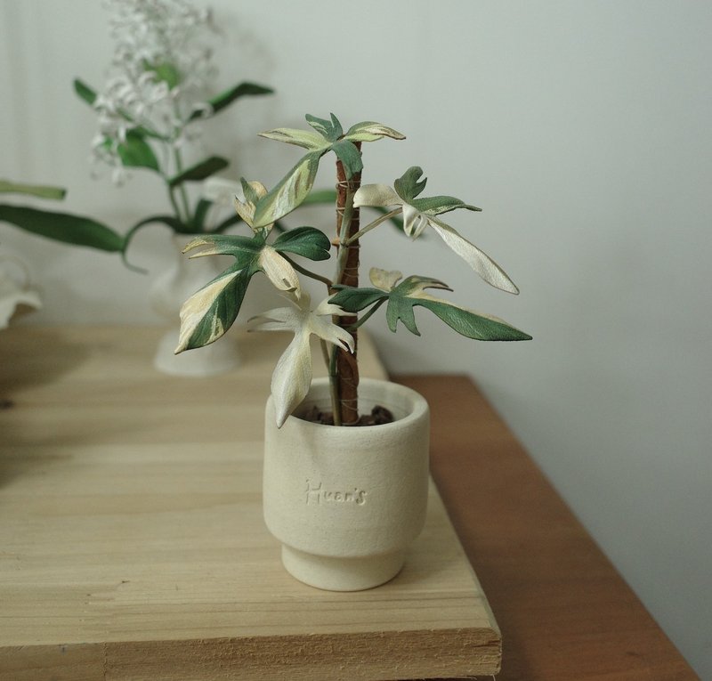 班叶龙爪盆栽 绝版作品仅此一件 - 摆饰 - 真皮 