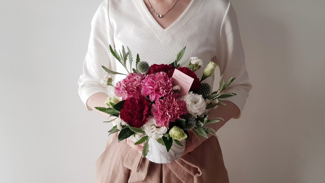 鲜花|Love妈咪|野莓红康乃馨母亲节盆花|全台宅配欢迎自取 - 植栽/盆栽 - 植物．花 红色
