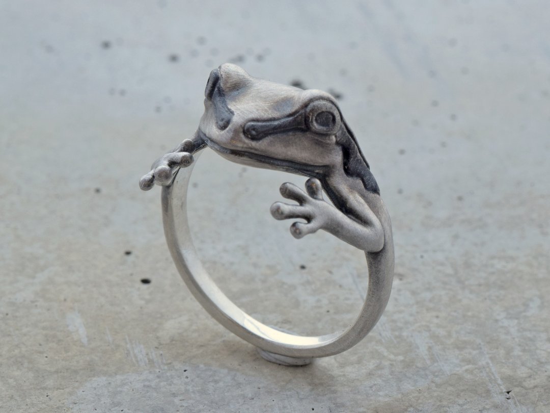 Hugging frog ring - 戒指 - 其他金属 银色