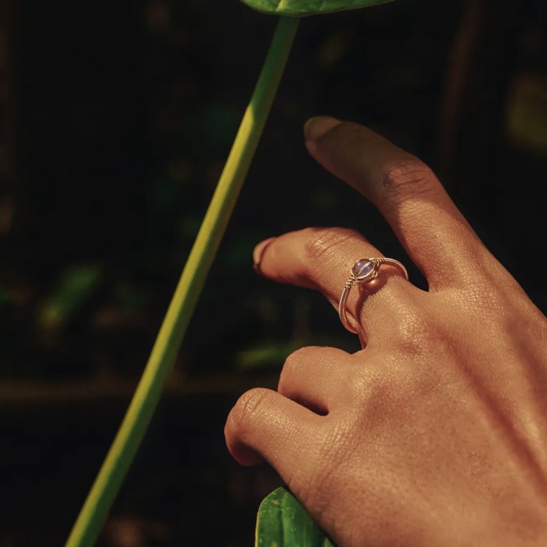 海中月老14K金月光石戒指 MOON RING - 戒指 - 24k 金 金色