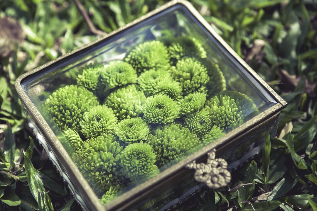 【婚礼订制】自然系 · 玻璃宝盒手作戒枕 - 干燥花/捧花 - 植物．花 绿色