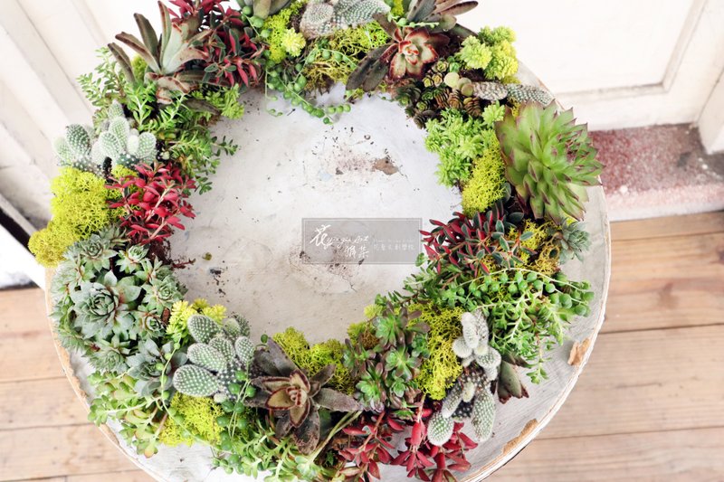 休闲花艺课程 - 植栽/盆栽 - 植物．花 