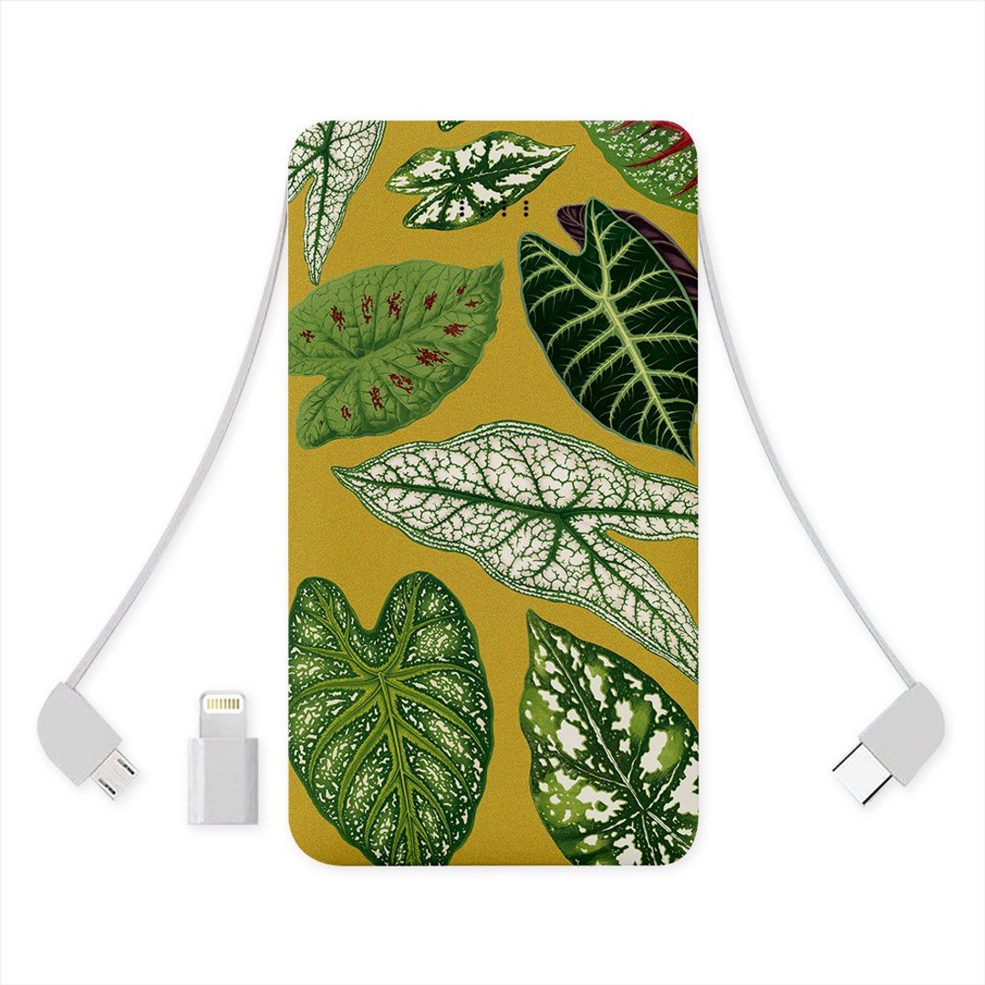 竹芋们 三种行动电源10000mAh (轻巧/带线/快充) CSBJ08 - 充电宝/传输线 - 其他金属 多色
