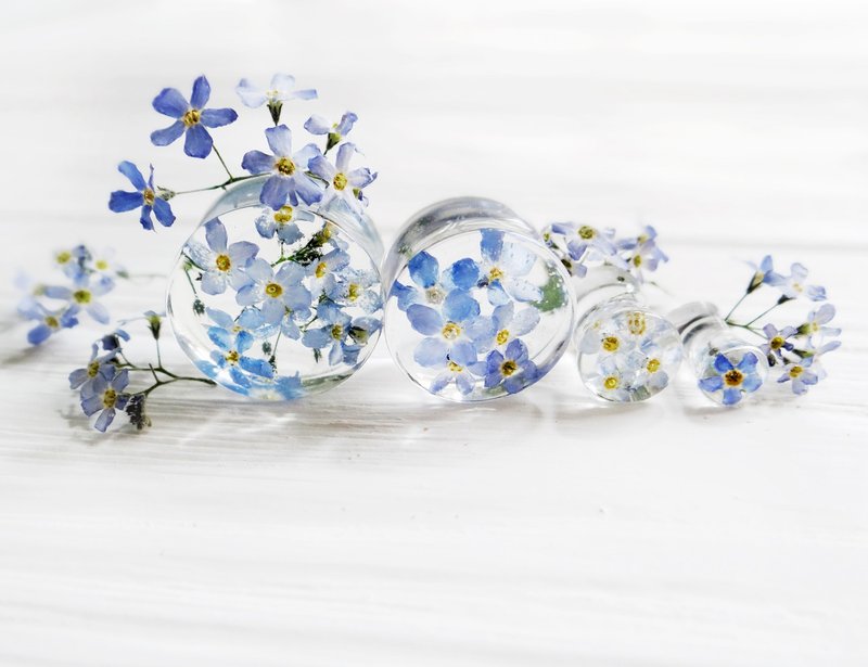 Forget-me-not plugs earrings 4g 2g 0g 00g ear gauges Piercing Body jewelry Resin - 耳环/耳夹 - 植物．花 蓝色