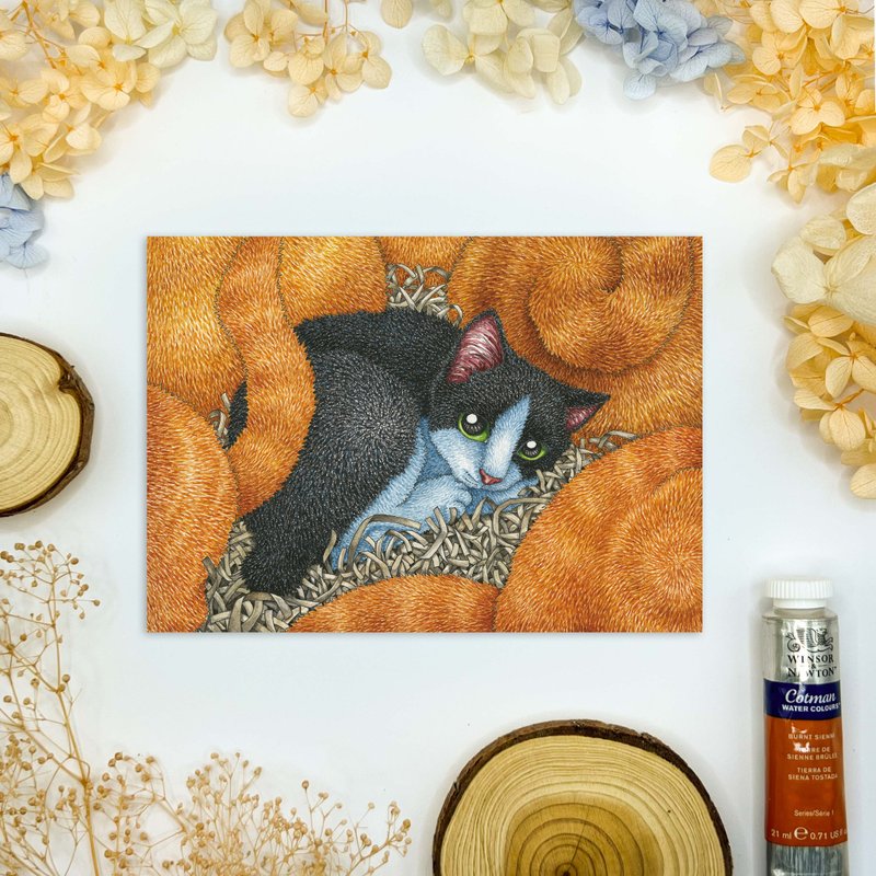 【猫疯子】明信片(23) - 卡片/明信片 - 纸 多色