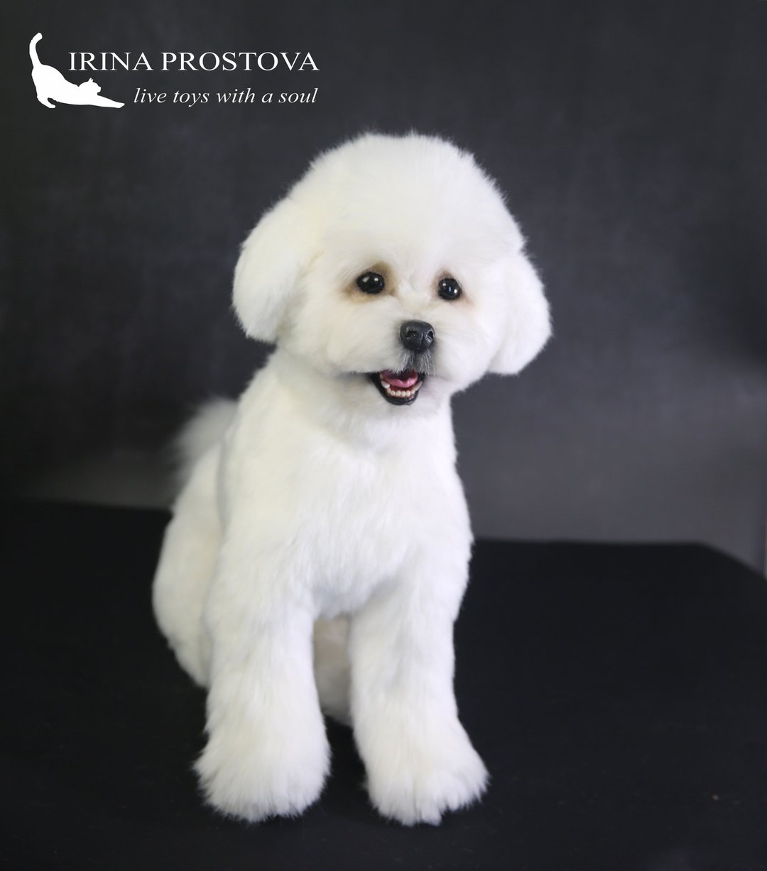 Bichon Frise dog realistic plush toy - 玩偶/公仔 - 其他材质 白色