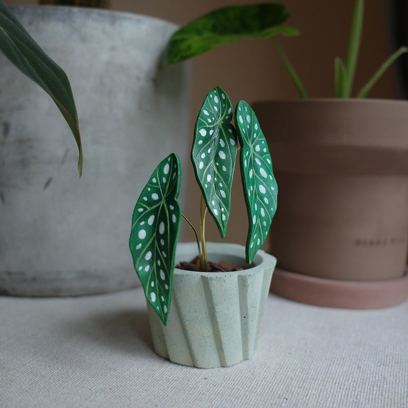 星点海棠观叶皮革盆栽 - 植栽/盆栽 - 真皮 绿色