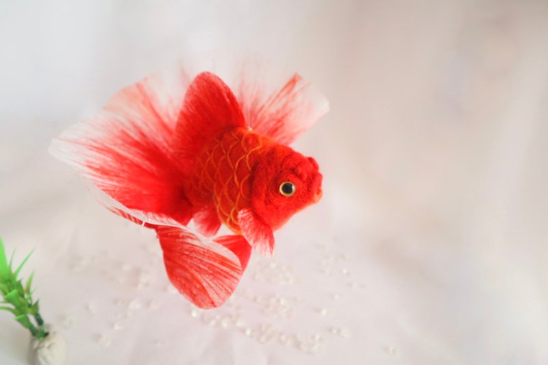 飘逸金鱼手机吊饰 XL - 猩猩吐佐锦 - - 玩偶/公仔 - 羊毛 红色