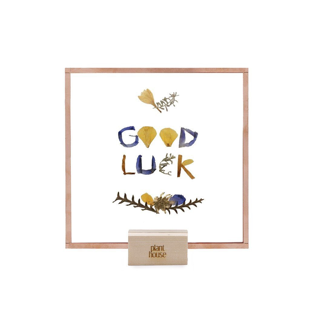 Good Luck Pressed flowers- Plant House - 画框/相框 - 植物．花 多色