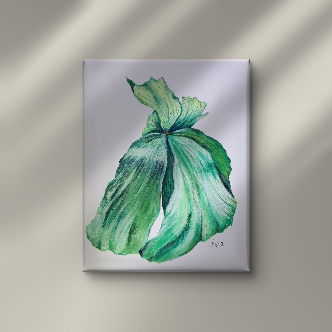 手绘象耳。鹿角蕨无框画 - 摆饰 - 其他人造纤维 