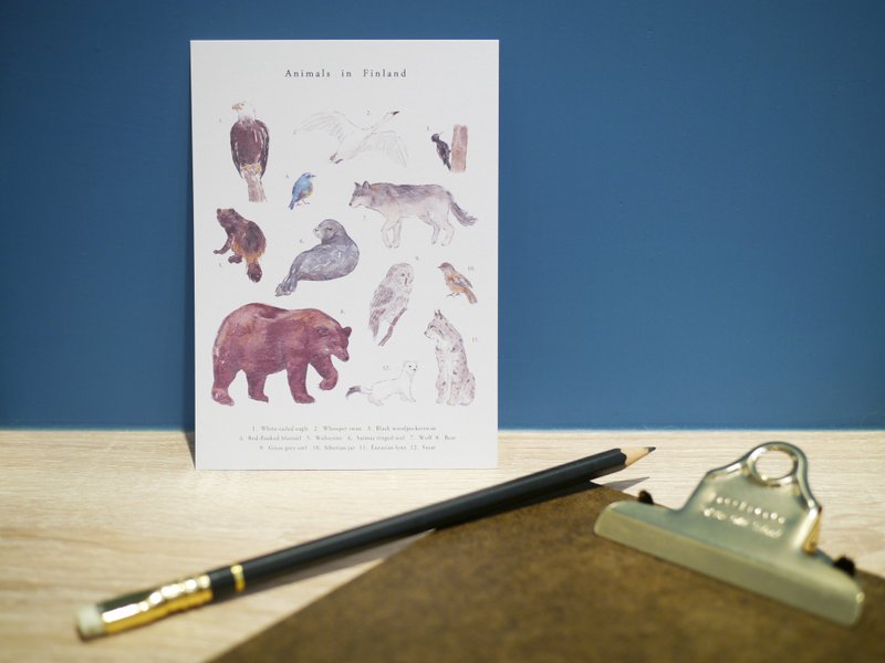 芬兰 动物 明信片 - 卡片/明信片 - 纸 