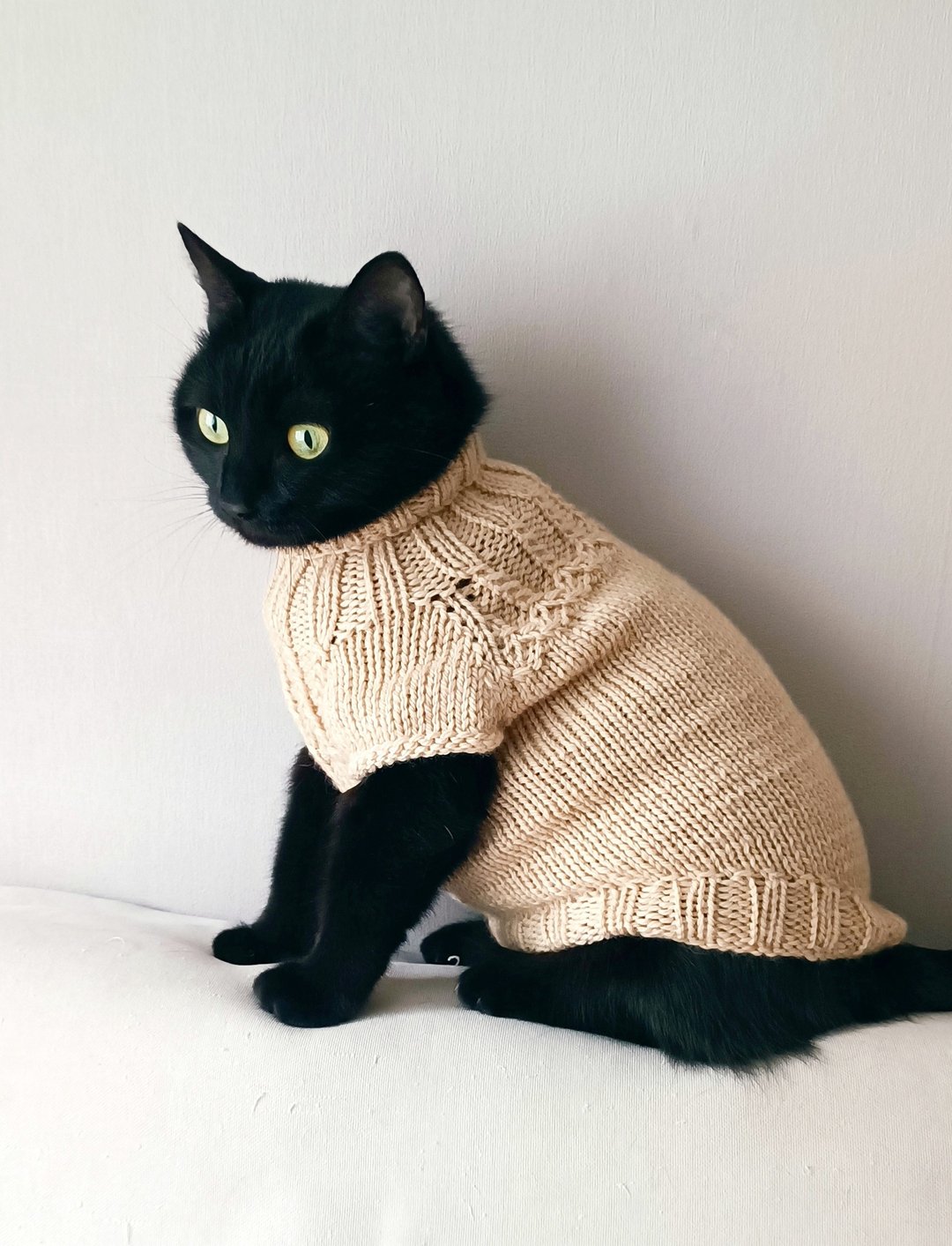 猫毛衣 斯芬克斯毛衣 羊毛猫毛衣 斯芬克斯猫毛衣 小狗毛衣 - 衣/帽 - 羊毛 