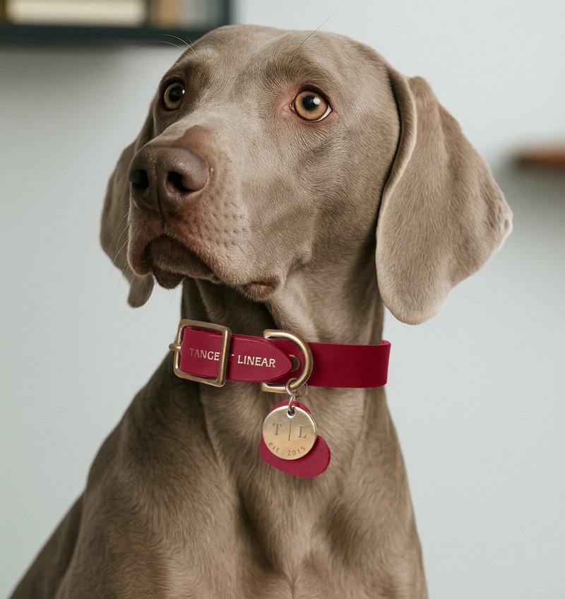 手工真皮轻量宠物项圈 幼犬・小型犬适用・可定制刻字 - 项圈/牵绳 - 真皮 红色