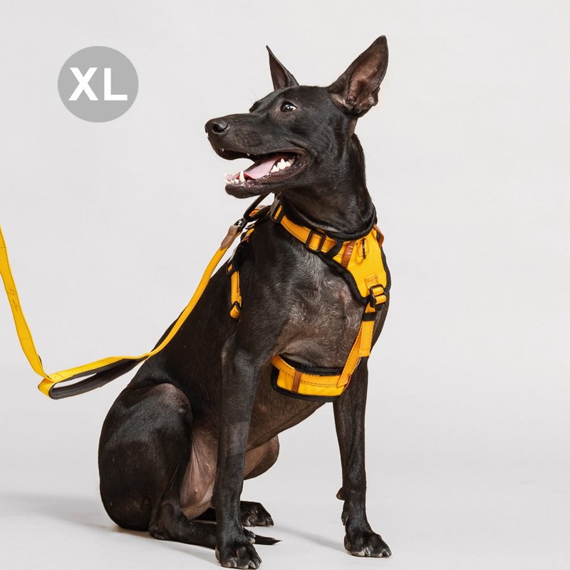 Pawfect-Fit! Pet Harness 机能宠物胸背带2.0(XL) - 项圈/牵绳 - 聚酯纤维 