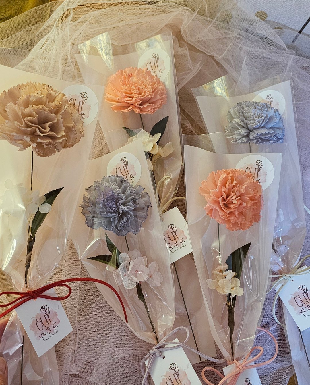 康乃馨花束(3色) \ 大尺寸 / 索拉花 扩香花-活动赠礼 大量订购 - 干燥花/捧花 - 植物．花 