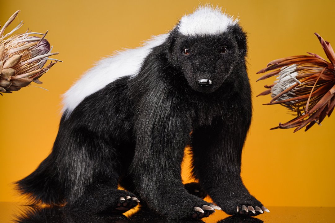 Honey Badger Realistic toy animal Teddy Bear - 玩偶/公仔 - 羊毛 黑色