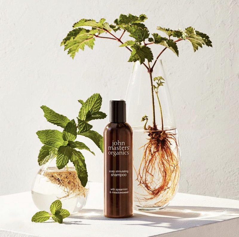 John masters organics 薄荷绣线菊头皮洗发精 - 洗发用品 - 浓缩/萃取物 