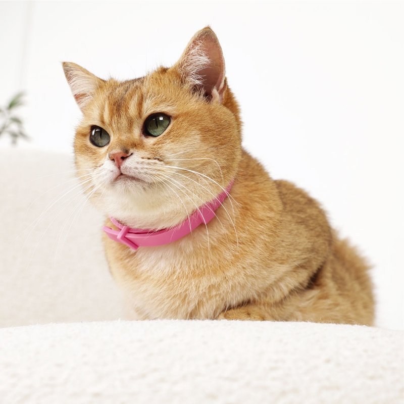 【MPETS】可持续长达 60 天左右 ~猫用镇静费洛蒙项圈系列 - 其他 - 其他材质 多色