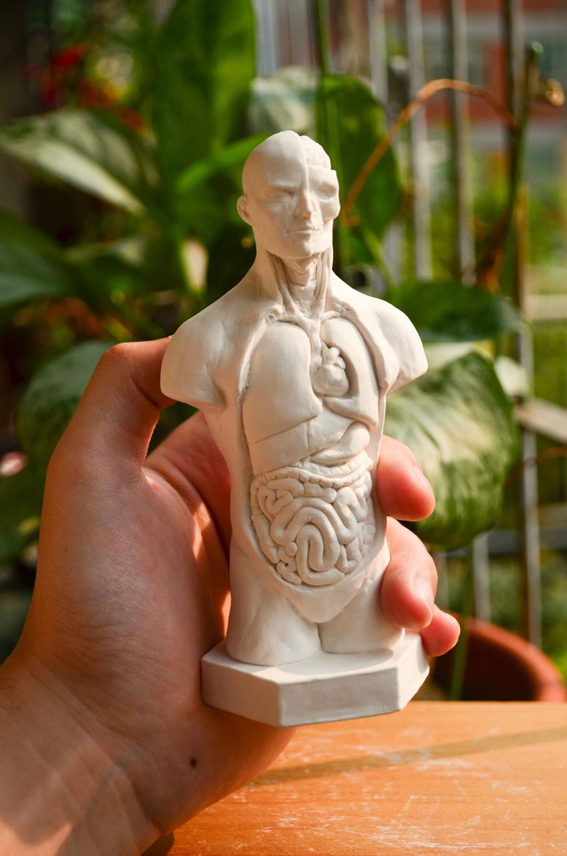 文艺复兴解剖学扩香石 手工雕刻人体模型香氛摆件 - 香薰/精油/线香 - 其他材质 白色