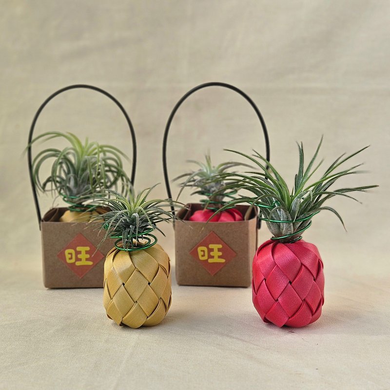 【空凤旺来】提篮包装,含空凤 - 植栽/盆栽 - 塑料 红色