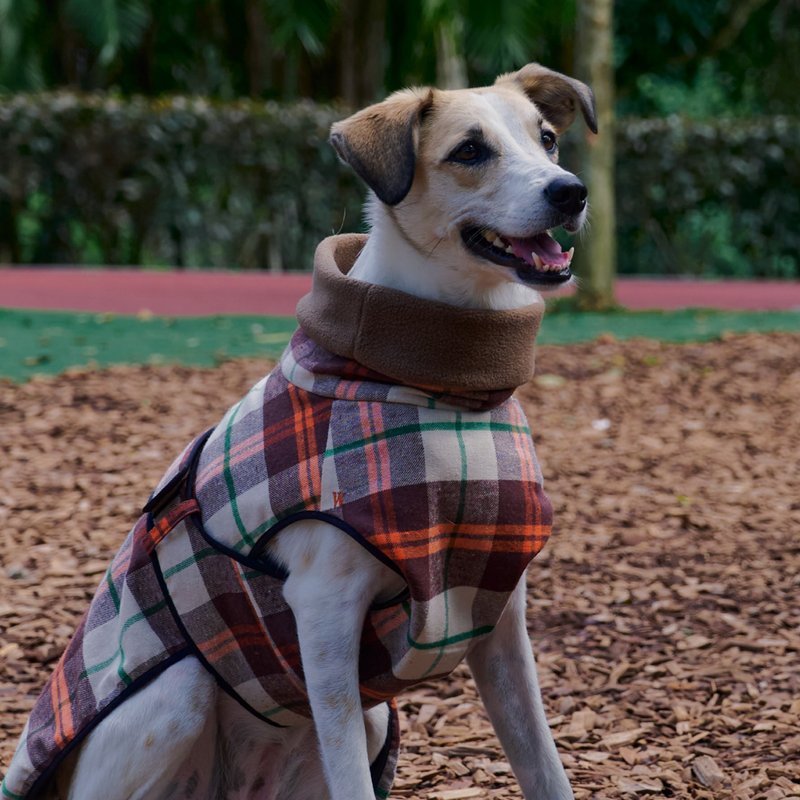 高领保暖衣TUR6 (布莱切利) S-6L 方便穿脱/ 牵绳洞设计 - 衣/帽 - 聚酯纤维 