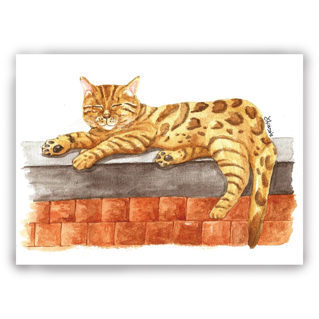 手绘插画万用卡/卡片/明信片/插画卡--豹猫 豹纹猫 斑纹猫 花猫 - 卡片/明信片 - 纸 