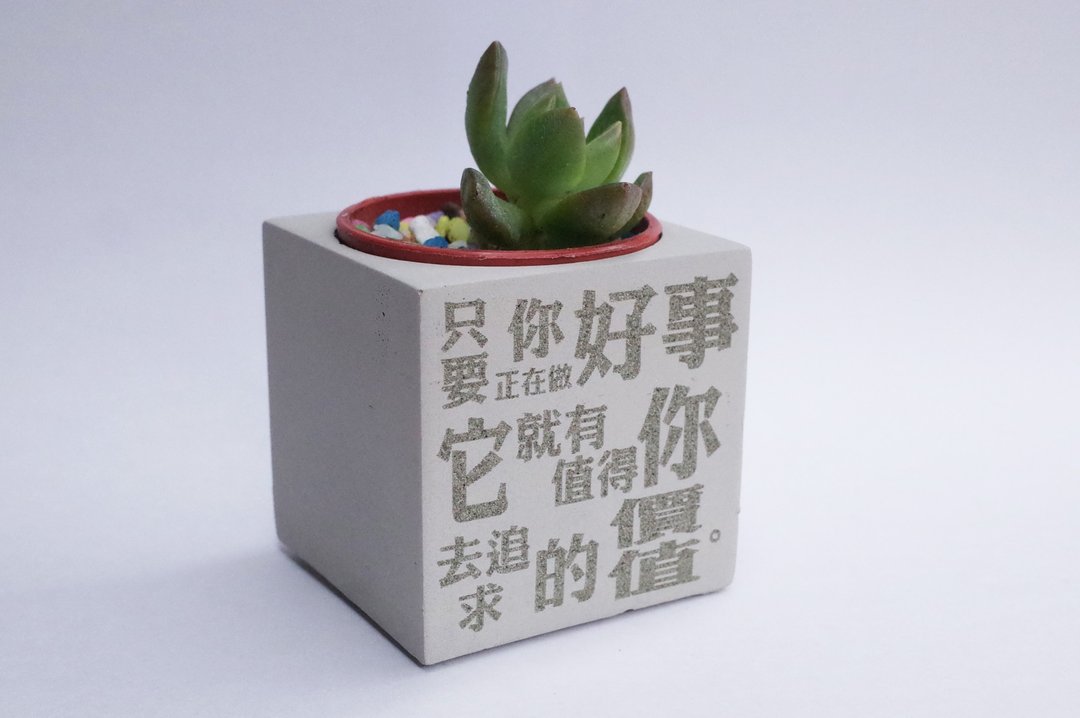 多肉水泥盆-金句名言-梅依马斯克 - 植栽/盆栽 - 水泥 灰色