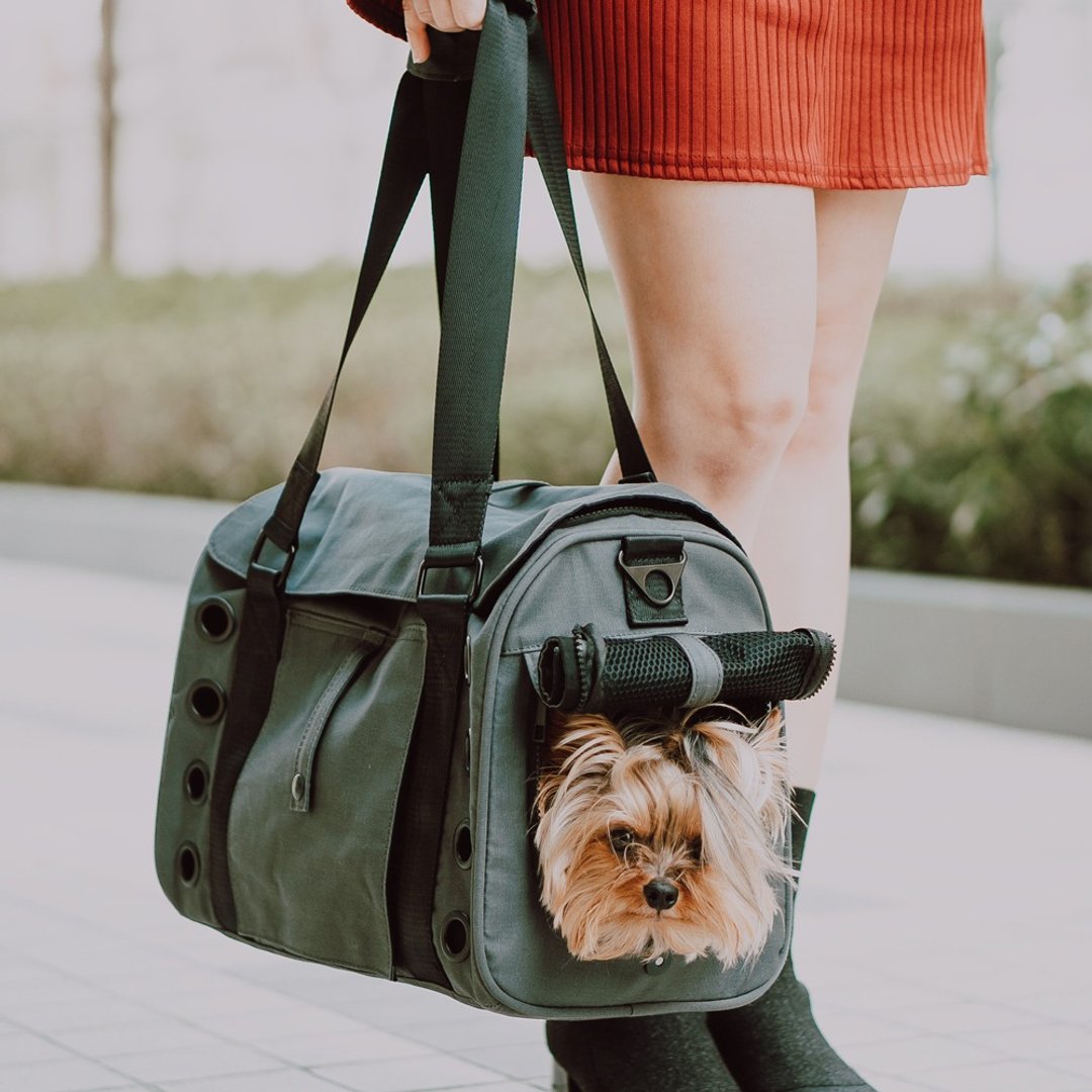 Koala Pet Carrier - 宠物外出包 (深灰色/ 经典帆布) - 外出包 - 棉 灰色